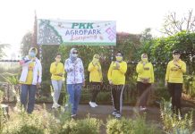 Ibu Riana Arinal Ajak Seluruh Organisasi Wanita Senam dan Masak bersama di Agro Park PKK