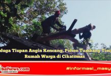 Diduga Tiupan Angin Kencang, Pohon Tumbang Timpa Rumah Warga di Cikatomas