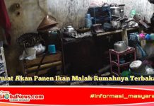 Berniat Akan Panen Ikan Malah Rumahnya Terbakar