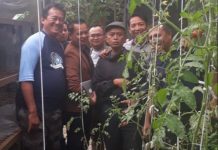 Edi Budiono Pemilik Taman Addrienta Resort Yang Selalu Memilik Ide Inovatif