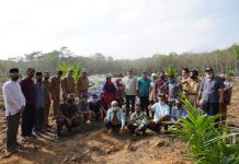 Program PKSP Bupati Tubaba Lakukan Penanaman Perdana Kelawa Sawit