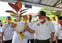 Antisipasi Krisis Pangan, Gubernur Arinal Canangkan Gerakan Diversifikasi Pangan dan Ekspos UMKM Pangan Lokal