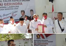 Dendi Ramadhona – Marzuki Telah Mendapatkan Rekomendasi Dari Partai Gerindra
