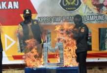 Gubernur Lampung Menghadiri Pemusnahan Barang Bukti Milik Negara Hasil Penindakan Bea Cukai Lampung