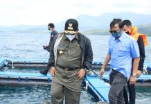 Gubernur Dorong Lobster Jadi Unggulan Sektor Perikanan Dan Dukung Pariwisata Lampung