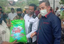 Bupati Pesawaran Berikan Bantuan Kepada Kelompok Budidaya Ikan Air Tawar