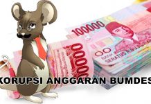 Mantan Kepala Kampung Mulya Jaya Diduga Korupsi Dana BUMDes