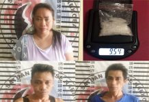Seorang Wanita Bandar Narkoba Diamankan Pihak Kepolisian Bersama Dua Orang Lainnya