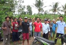 Ada Apa Puluhan Warga Pekon Banjarmasin Tanggamus Lakukan Pengukuran Ulang