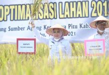 Bupati Tulang Bawang Dr. Hj. Winarti SE., MH Hadiri Acara Panen Raya Padi Inbrida Impara