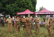 Panen Perdana Program Pangan Mandiri