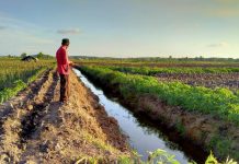 Anggaran BUMkam Kampung Kibang Pacing, Kecamatan Menggala Timur Diduga Kurang Transparan