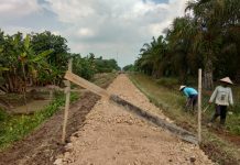 Desa Tirta Laga Gencar Membagun Jalan Sabes Sepanjang 800 Meter