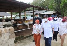Mendes PDTT Abdul Halim Iskandar Apresiasi Sistem Manajemen KPT Maju Sejahtera