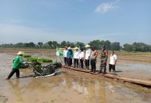DKP3 Kota Metro Melakukan Percobaan Tanam Varietas Padi Terbaru