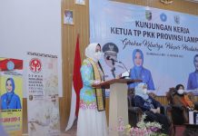 Gerakan Keluarga Pelopor Perubahan, Riana Arinal Lakukan Kunjungan Kerja ke Way Kanan