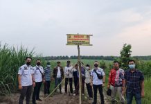 Polda Lampung Menyegel Kebun Tebu Milik Oknum Anggota DPRD Way Kanan
