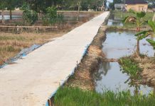 Desa Sidang Makmur Bangun Rabat Beton sepanjang 389 Meter
