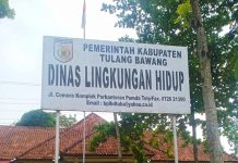 Kabar Gembira 2022 Insentif Satgas Di Dinas Kabupaten Tulangbawang Ini Naik