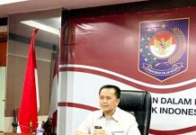 Kemendagri Beri Arahan Strategi Percepatan Serapan Anggaran Daerah & Lelang Dini