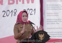 Bupati Tulang Bawang Dr Hj Winarti SE MH Kunjungan Kerja ke Kec Menggala