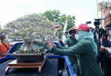 Persatuan Pecinta Bonsai Indonesia Gelar Pameran bonsai se -Indonesia