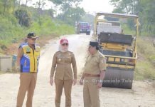 Bupati Tulangbawang Winarti Meninjau Jalan Tegamoan