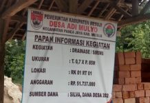 Manfaatkan Dana Desa (DD) Desa Adi Mulyo Kecamatan Panca Jaya Kabupaten Mesuji Membangun Drainase