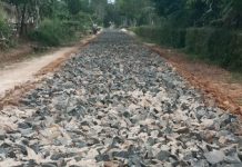 Desa Adi Luhur Manfaatkan Dana DD Untuk Pengembangan Jalan Telford