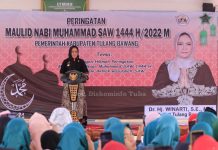 Bantuan Digelontorkan Bupati Winarti Untuk Kecamatan Rawa Jitu Selatan
