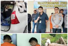 Polres Mesuji Gelar Press Release Pengungkapan Sindikat Pencurian Hewan Ternak Antar Provinsi