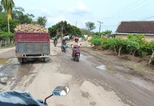 Akses Vital Jalan Provinsi di Tubaba Rusak Parah