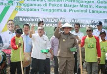 Gubernur Arinal Lakukan Gerakan Tanam Kedelai di Kecamatan Bulok Tanggamus