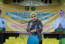Ketua LKKS Provinsi Lampung Serahkan Bantuan, Peringati Hari Lanjut Usia Nasional ke-29 di Pekon Pringsewu Timur