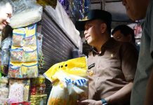 Pj Gubernur Sumsel Fatoni Pastikan Stok Beras