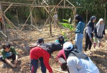 Tim MBKM FMIPA Tanam 1000 Toga di Rejomulyo