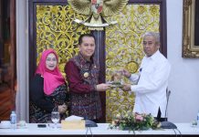 Pj Gubernur Agus Fatoni Bersinergi dengan BKKBN Sumsel Kejar Taget Turunkan Angka Stunting