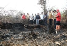 Pj Gubernur Agus Fatoni bersama Menteri LHK Tinjau Lokasi Karhutla di Desa Jungkal OKI