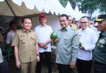 Pj Gubernur Agus Fatoni Bersama Mentan RI Beri Pembinaan Bagi Ratusan Penyuluh Pertanian se-Sumsel