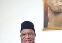 Wamendagri John Wempi Terima Penghargaan Bintang Jasa Utama dari Presiden Jokowi