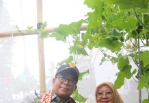 Pj. Gubernur Lampung Resmikan Poskesdes dan Panen Melon Bersama KWT di Tanggamus, Dorong Optimalisasi Dana Desa dan Pengendalian Inflasi