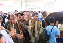 Kontes dan Expo Sapi APPSI 2024, Pj. Gubernur Lampung Dukung Wujudkan Ketahanan Pangan Nasional