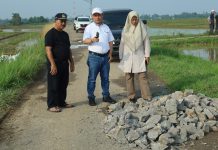 PJs. Lampung Timur Tinjau Jalan Adijaya, Upayakan Perbaikkan Infrastruktur Secara Bertahap