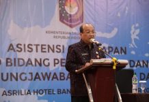 Wujudkan Satu Data Indonesia, Ditjen Bina Keuda Dorong Pemda Optimalkan Penggunaan SIPD RI