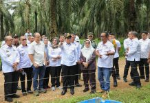 Pj. Gubernur Samsudin Kunjungi Usaha Peternakan Sapi Potong Hasil Integrasi Perkebunan Sawit dengan Perusahaan Peternakan di Desa Candimas, Abung Selatan, Lampung Utara