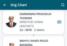 Yuk Kenalan dengan EVP PLN Termuda, Punya Istri Artis yang Kini Juga Jadi Pegawai PLN