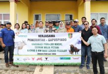 Pj. Gubernur Lampung Samsudin bersama Dirjen PKH Kementan Agung Suganda Saksikan Vaksinasi PMK dan Penyakit LSD Ternak Sapi di Lampung Tengah