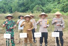Penanaman Jagung Serentak 1 Juta Hektar di Desa Subik, Lampung Utara