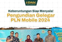 Jejak Vendor Anak Emas di PLN: Setelah PT SAK, Kini Mencuat Nama PT DNK