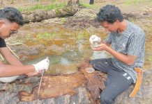 Bentuk Dedikasi Mahasiswa KKN Desa Sumbersari adakan Sosialisasi dan Pemanfaatan Limba Kelapa Sawit Sebagai Pestisida Alami Bersumber Nabati dan Mikroorganisme Lokal